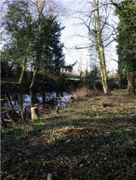 Pocket Park Regeneration Project